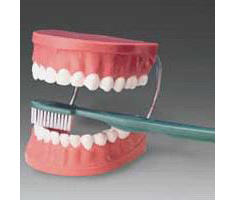 ACC-TH-01